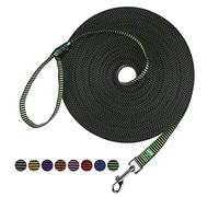 Hi Kiss Dog/Puppy Obedience Recall Training Agility Lead - 15ft 20ft 30ft 50ft 100ft Training Leash - Great for Training, Play, Camping, or Backyard(30ft,Black_Green)