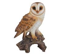 HI-LINE Gift Ltd Barn Owl on Stump, 725"