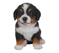 Hi-Line Gift Ltd Bernese Mountain Dog Puppy Statue