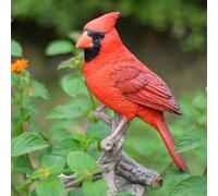 Hi-Line Gift Ltd Cardinal on Branch Statue