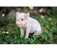 Hi-Line Gift Ltd Sitting Baby Pig, 6"