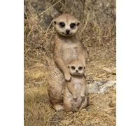 Hi-Line Gift Ltd. Small Mother & Baby Meerkat, brown