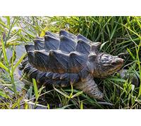 Hi-Line Gift Ltd. SNAPPING TURTLE STATUE