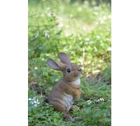 Hi-Line Gift Ltd Standing Rabbit Statue