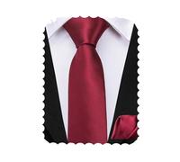 Hi-Tie Burgundy Ties for Kids Silk Self Tied Solid Boys Ties Set 8-10 Youth Necktie and Pocket Square for School Wedding