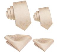 Hi-Tie Father And Son Tie Set Jacquard Woven Silk Necktie Pocket Square Set For Wedding Party Formal Dress Gifts, Champagne Paisley, Medium