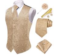 Hi-Tie Men's Suit Vest and Tie Set Formal Waistcoat V-Neck Paisley Vest and Tie Pocket Square Cufflinks Set for Wedding, Champagne Gold, XL