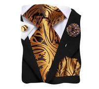 Hi-Tie Mens Tie Lapel Pin Set Pocket Square Cufflinks Woven Silk Ties for Men Wedding Formal,Black Gold Paisley