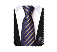 Hi-Tie Navy Brown Boys Ties Set Silk Striped Kids Ties 8-10 Self-Tied Boys Necktie Pocket Square for School in Gift Box