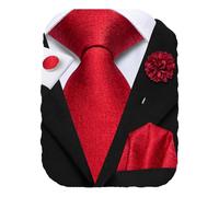Hi-Tie Red Ties for Men Silk Fomal Ties and Pocket Square Set Jacquard Necktie Lapel Pin Cufflinks set for Wedding