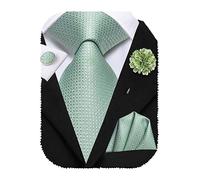 Hi-Tie Silk Men's Tie and Pocket Square Cufflinks Lapel Pin Set Jacquard Wedding Business Necktie for Formal,Sage Green