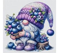 Hi-Y2Kgirls Blueberry Gnome Stamped Cross Stitch Kits- 11CT Cross Stitch Kits for Beginners Adults Needlepoint Cross-Stitch, Gnome Patterns Needlecrafts Embroidery Kits Arts Crafts