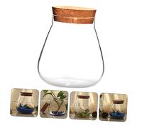 HIAKDOFT 1Pc Cork Stopper Bottle Transparent Bubble Bowl for Micro Landscape Succulents Cacti Home Decoration Candy Jar and Plant Pot