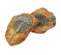 HIAKDOFT 2Pcs Resin Reptile Terrarium Decors Cozy Dark Atmosphere Simulation Fossil Landscape Ornaments for Lizards Spiders Crabs Stable DIY Vivarium Decoration