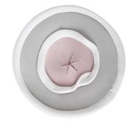 HIAKDOFT Elizabeth Collar for Small Breed Pets S, Protective Neck Ring for Guinea Pigs and Small Animals, After-Injury Care Collar for Pet Neck Random Color Random Color