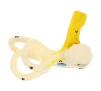 HIAKDOFT Human Ear Anatomy Model for Detailed Inner Ear Structure Teaching Aid Lightweight Design for and Understanding for Students and Educators