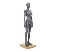 HIAKDOFT Human Women Muscle Structure Model Resin Anatomy Study Tool for Artists Detailed Muscle Model for Physiology Teaching and Art Reference for Medical and Nursing Random Color