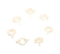 HIAKDOFT Life Human Cervical Spine Model PVC Medical Anatomy Teaching Tool Unbreakable Vertebrae Skeleton for Hospital Education and Scientific Study