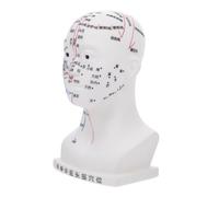 HIAKDOFT Professional Human Acupoint Model for Acupuncture Teaching Massage Model for Understanding Ergonomic Design for Educational Use and Demonstration