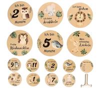 HIAKDOFT Wooden Calendar Monthly Circles for Newborn Keepsake Display Stand for Photo Sessions Birth Announcement Cards