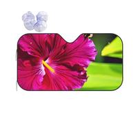 Hibiscus Flower Printing Windshield Sun Shade for Car. Reflective UV and Heat Shield with Keeps Interior Cool Universal Sedans