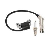 Hicello #595304 Ignition Coil Magneto-Armature & Spark Plug for B&S 21A807