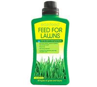 HiCollections Eazifeed Feed For Lawns Strengthens Roots And Produces a Greener Looking Lawn. For All Types of Grass and Lawn