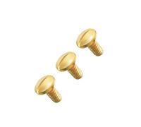 Hicycle2 Screws Replacement for Cartier Love Bracelet Stainless Steel Top Quality (Gold)