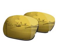 HiCycle2 Sunglasses Lenses Replacement for Oakley Holbrook lenses Sunglasses OO9102 55MM thickness:2.0mm(BRONZE)