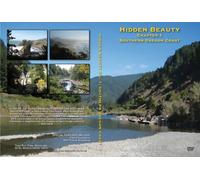 Hidden Beauty Chapter 1