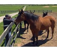 Hidden Gems of Lexington