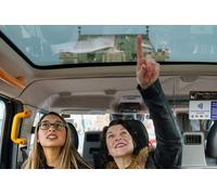 Hidden Gems Tour - Iconic London Taxi Tour