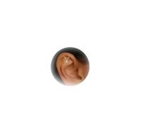 Hidden Helix Earring Dangle,Threadless Earrings for Women Helix Piercing Threadless Titanium Earrings Cartilage Piercing Jewelry (silver)