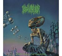 Blood Incantation - Hidden History of The Human Race (Re-Issue 2025) Ltd. Coke Bottle Green - Colored Vinyl