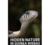 Hidden Nature In Guinea Bissau