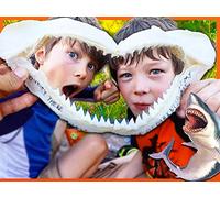 Hidden Treasure Hunt Clues Found in Sharks Jaws