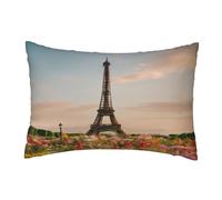 Hidden Zipper Rectangular Beautiful Eiffel Tower Paris Print Throw Cushion Cover,Comfortable Breathable Pillowcase