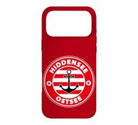 Hiddensee Baltic Sea Island Holiday Beach Surfing Souvenir Graphic Case for iPhone 17 Pro Max