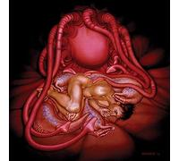 Hide - Flesh For The Living [12" VINYL]