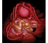 Hide - Flesh For The Living [12" VINYL]