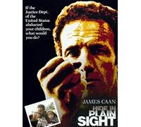 Hide in Plain Sight