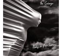 Hiding in Plain Sight