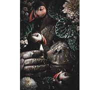 Hiding the Puffins