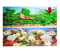 Hidom Aquarium Background Poster Double Sided - Height 12" / 30cm - Length 2 FT / 61cm - Two Scenic Pictures displaying Aquatic Backdrops - DS-300 RPC