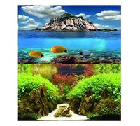 Hidom Aquarium Background Poster Double Sided - Height 12" / 30cm - Length 2 FT / 61cm - Two Scenic Pictures displaying Aquatic Backdrops - DS 300-9067/9082