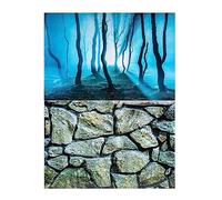 Hidom Aquarium Background Poster Double Sided - Height 16" / 40cm - Length 6 FT / 183cm - Two Scenic Pictures displaying Twilight Forest Stone Wall Backdrops - DS-400-9068/9069