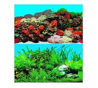 Hidom Aquarium Background Poster Double Sided - Height 19" / 50cm - Length 10 FT / 305cm - Two Scenic Pictures displaying Aquatic Backdrops - DS-500-9001/9003