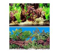 Hidom Aquarium Background Poster Double Sided - Height 19" / 50cm - Length 2 FT / 61cm - Two Scenic Pictures displaying Aquatic Backdrops - DS-500-9058/9059