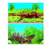Hidom Aquarium Background Poster Double Sided - Height 24" / 60cm - Length 2 FT / 61cm - Two Scenic Pictures displaying Aquatic Backdrops - DS 600-9009/9021