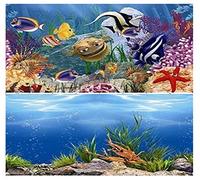 Hidom Aquarium Background Poster Double Sided - Height 24" / 60cm - Length 3 FT / 92cm - Two Scenic Pictures displaying Aquatic Backdrops - DS 600-9093/9094-3